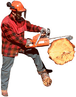 husqvarna chainsaws canada